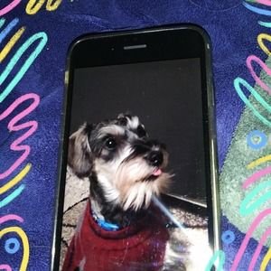 Meet your Posher, Sandy